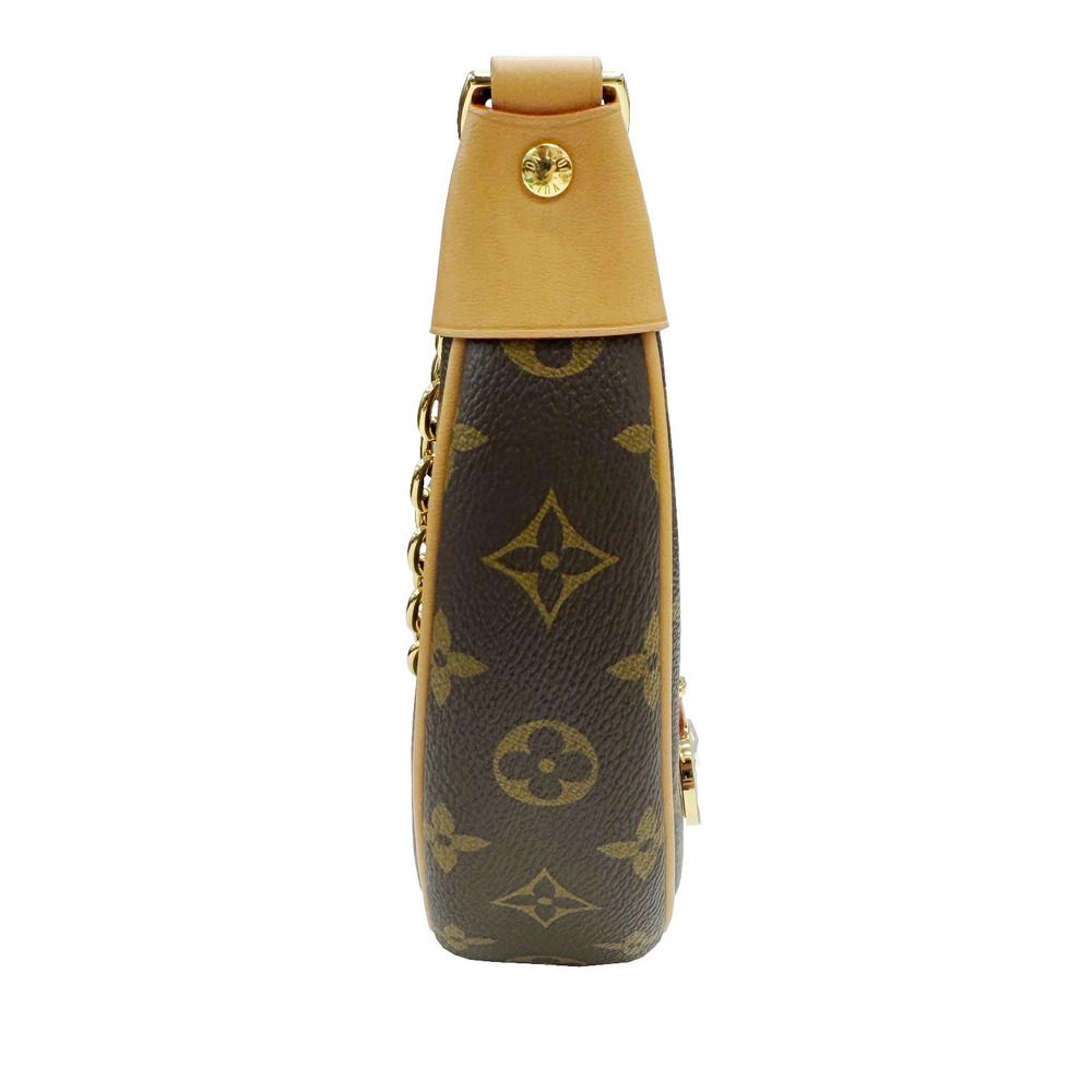 Louis Vuitton Shoulder Brown Loop Monogram Bag